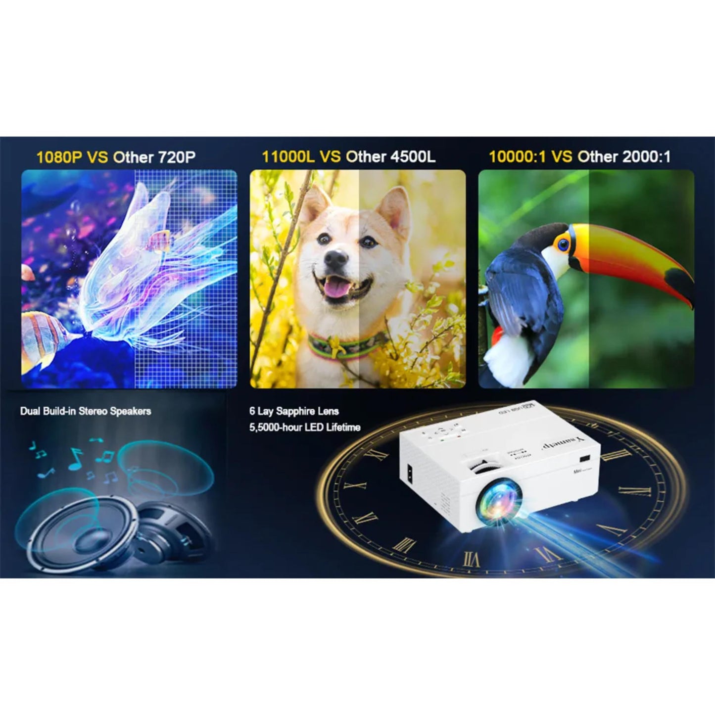 Transjee M8G: Projektionsgröße von 30 Zoll bis 120 Zoll für immersives Sehen. | Blue Chilli Electronics.